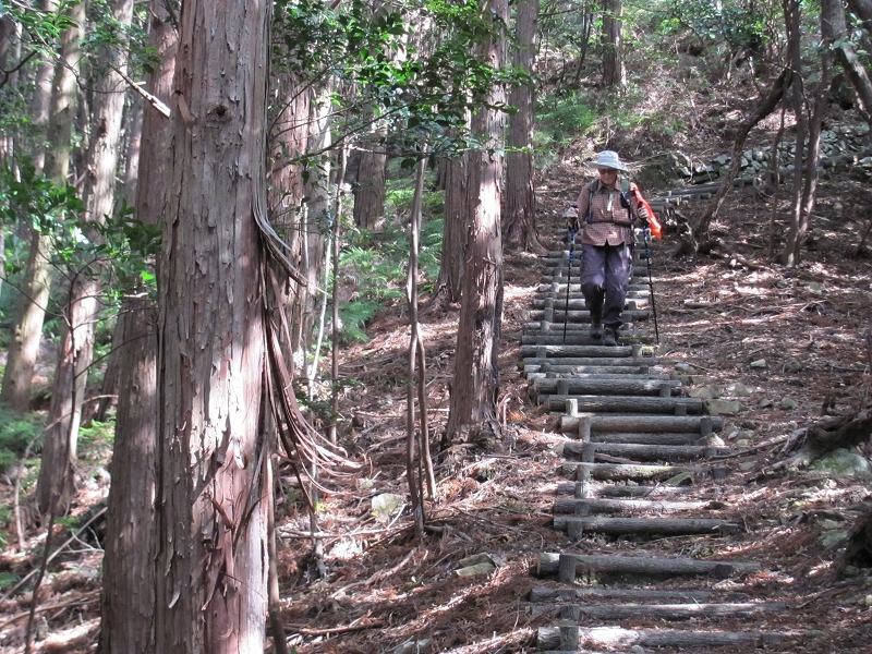 Hiwasa Coastal Trail