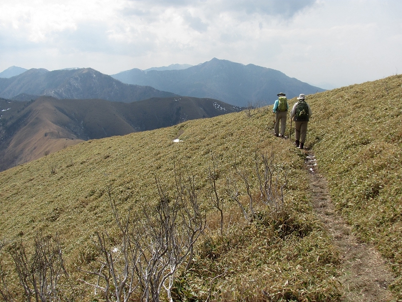 Trail through the meadows