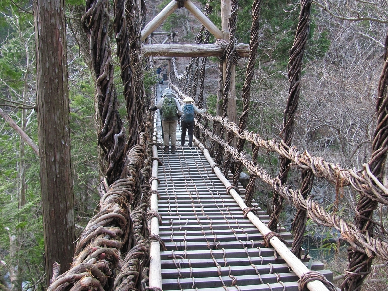 Vine Bridge, Iya Valley