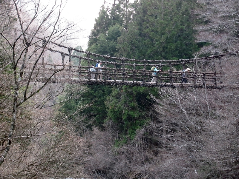 Crossing the vine bridge