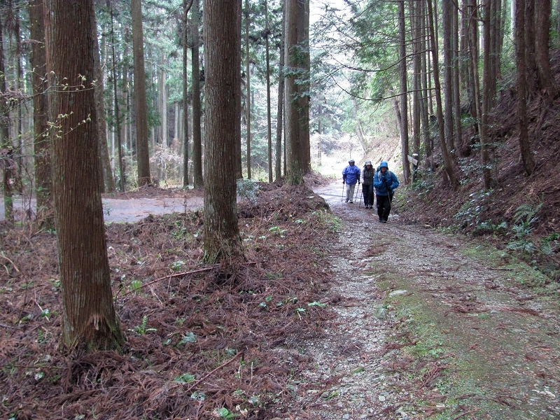 The trail to Iwayaji