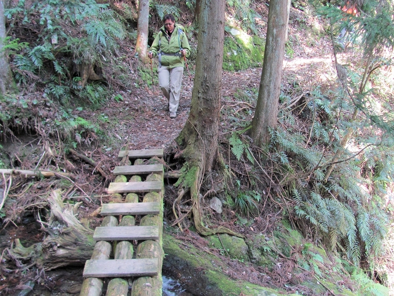 Trail to Yokomineji