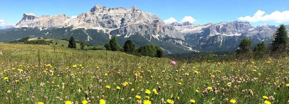 Piz dles Conturines from Pralongia, Val Badia, Dolomites, Italy