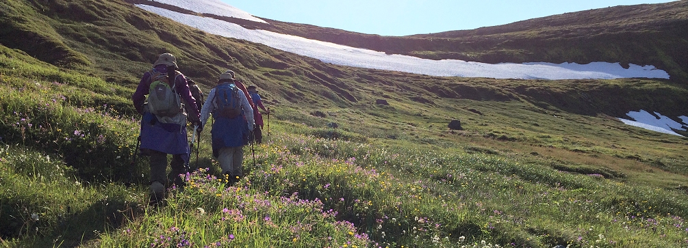 Trail near Stadur, Adalvik, hiking to Hesteyri, Westfjords, Iceland