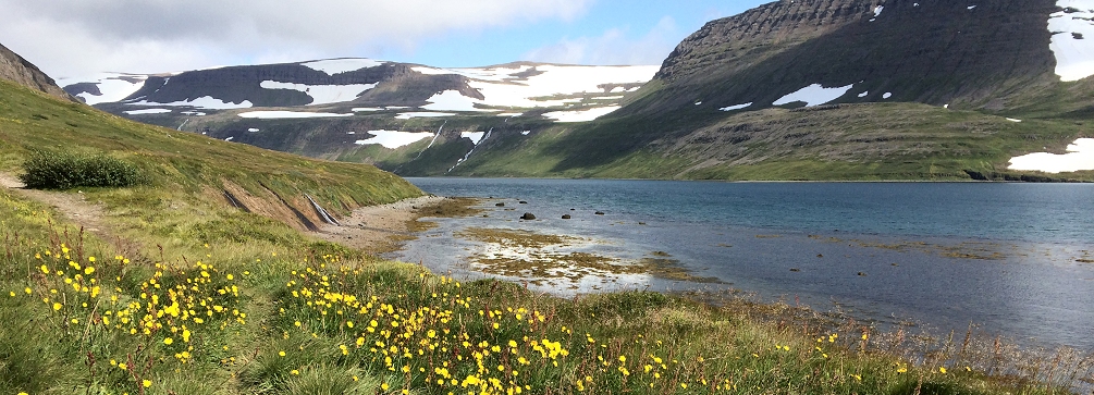 Hesteyrarfjordur shoreline near Hesteyri, Hornstrandir Reserve, Westfjords, Iceland