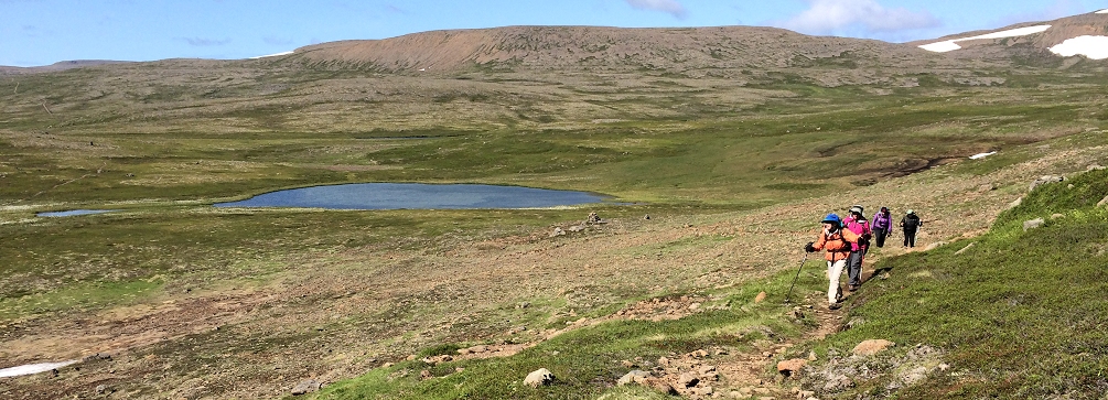 Trail between Adalvik and Hesteyri, Hornstrandir Nature Reserve, Westfjords, Iceland