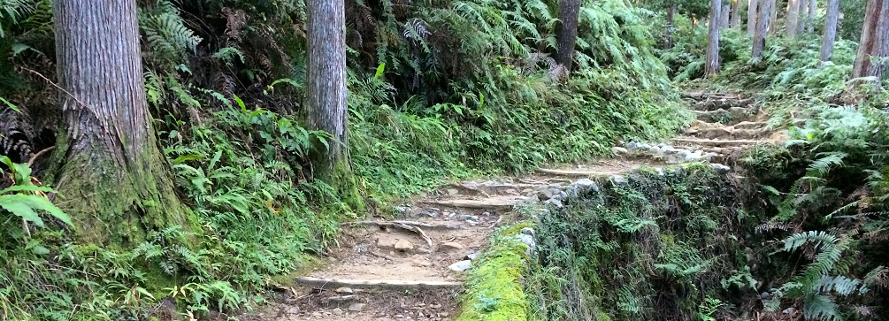 Photo of the Nakahechi as it approaches Kumano Hongu Taisha