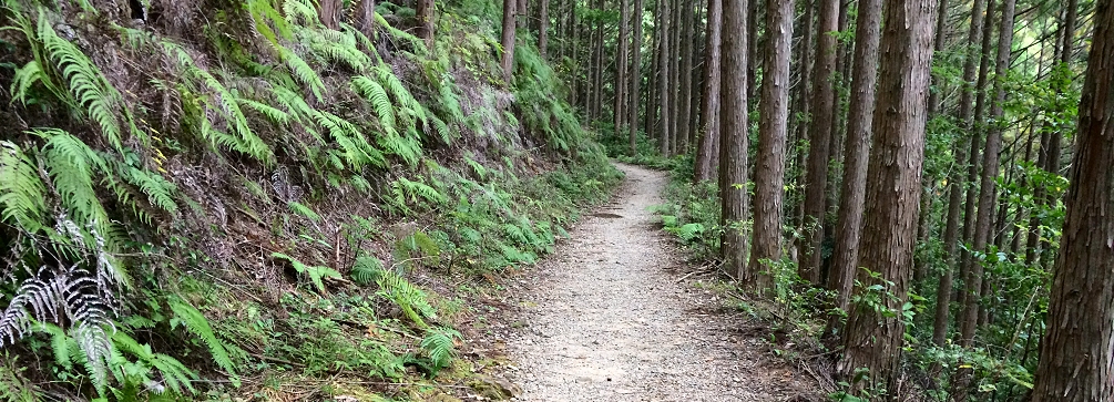 Photo of the Kumano Kodo near Takahara village