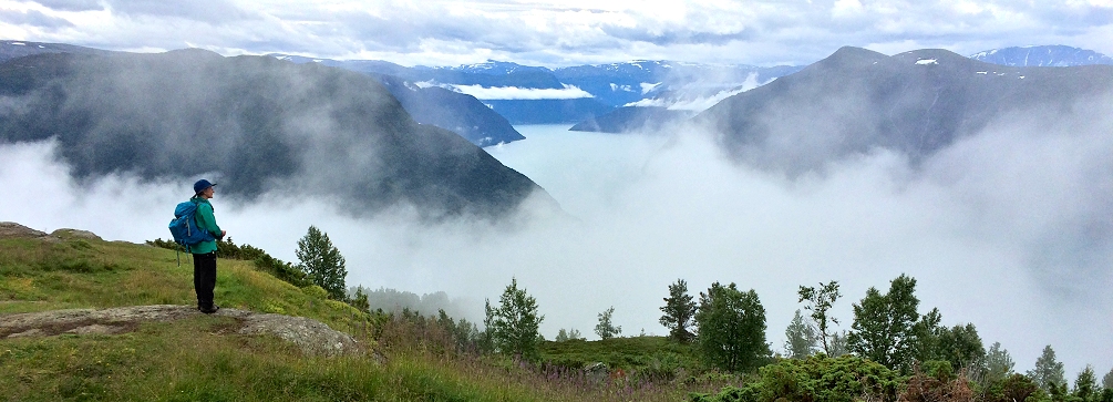 View of the Lustrafjord from Svarthiller farm, Sogn og Fjordane, Norway