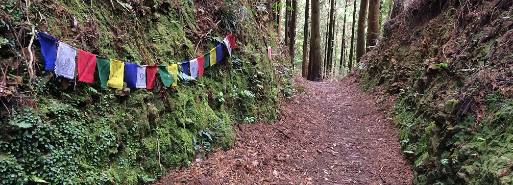 On the trail to Temple 22 (Byodoji), Shikoku 88 Temple Pilgrimage, Japan
