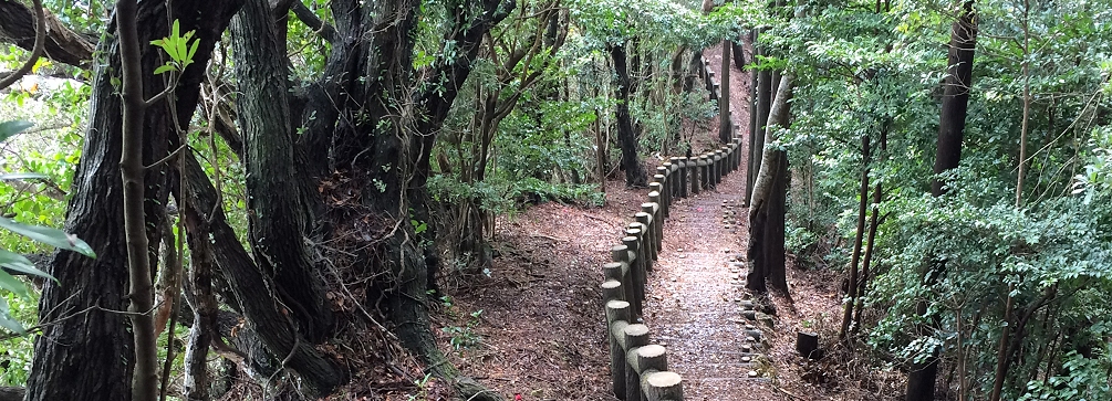 Shikoku 88 Temple Pilgrimage Hiking Tour in Japan Mountain Hiking Holidays