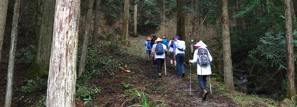 Pilgrims on the trail to Iwayaji (Temple 45), Shikoku Pilgrimage, Japan