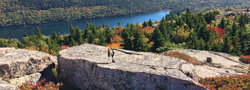 Autumn color on the slopes of Penobscot Mountain, Acadia National Park, Maine