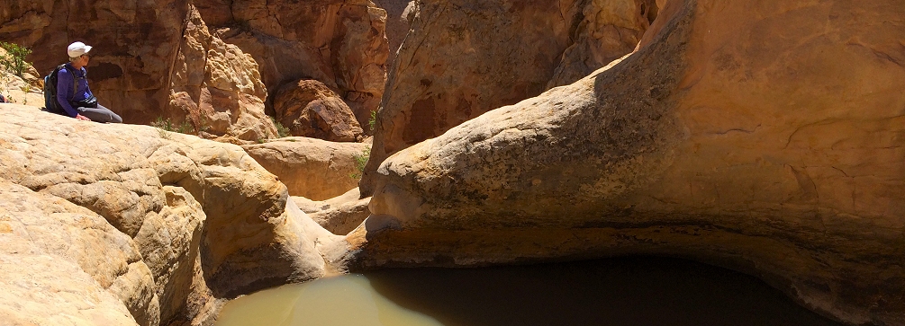 Pool of water in the Waterpocket Fold, Capitol Reef National Park