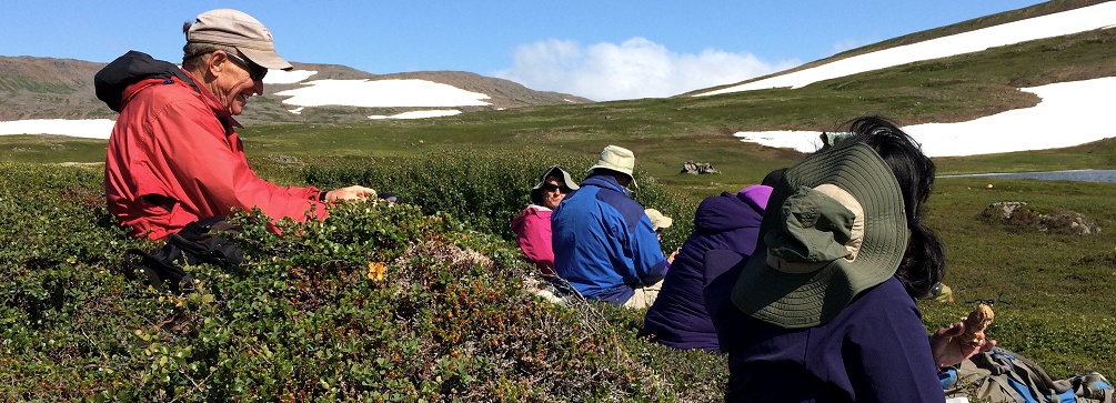 Lunch in the Hornstrandir Nature Reserve, Iceland