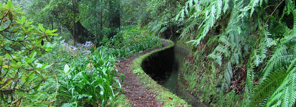 Trail along a levada at Folhadal, Madeira