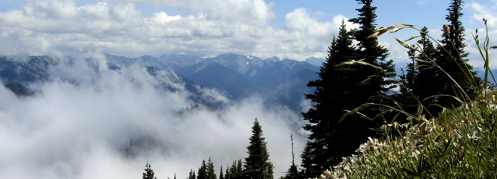 View from Hurricane Ridge, Olympic National Park, Washington