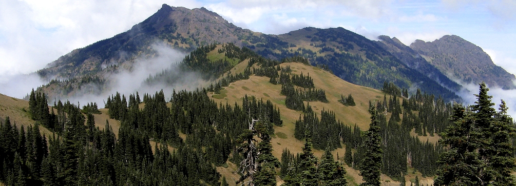 Mount Angeles from Sunrise Ridge, Olympic National Park, Washington