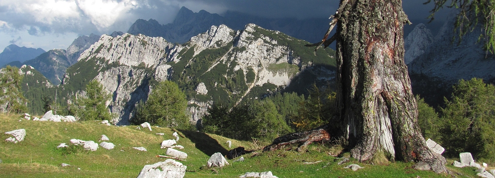 The Julian Alps as seen from the meadows of Sleme in Slovenia