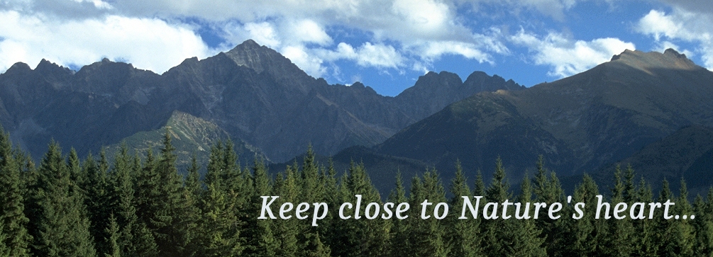 The High Tatras as seen from Glodowka viewpoint, Poland