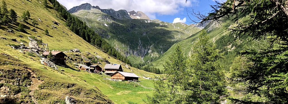 An alm in the Austrian Alps