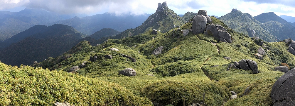 Mountain landscape in Yakushima National Park.